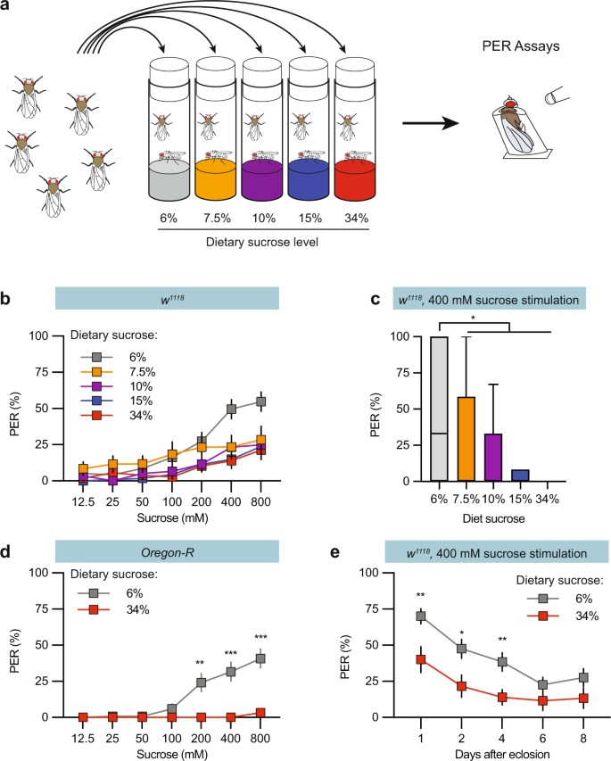 Regulation of sweet taste responses by dietary sugar.