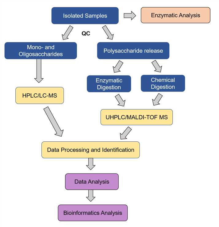 General Workflow