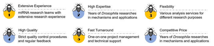 Why choose us of Drosophila miRNAs service- CD BioSciences
