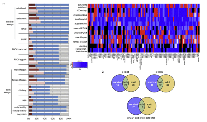 miRNAs function analysis in Drosophila